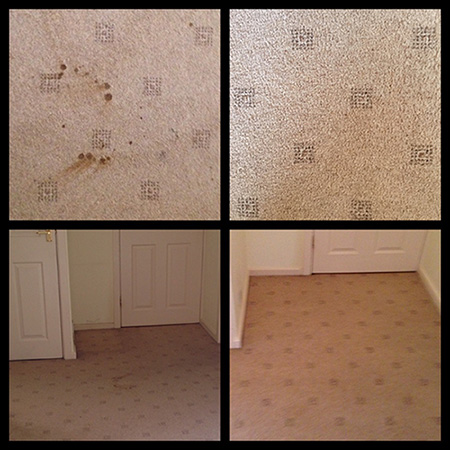 domestic-carpet-cleaning